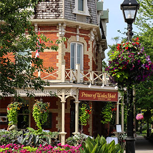 Web Design Niagara On the Lake, ON