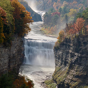 Web Design Mount Morris, NY