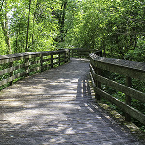 Web Design Spencerport, NY