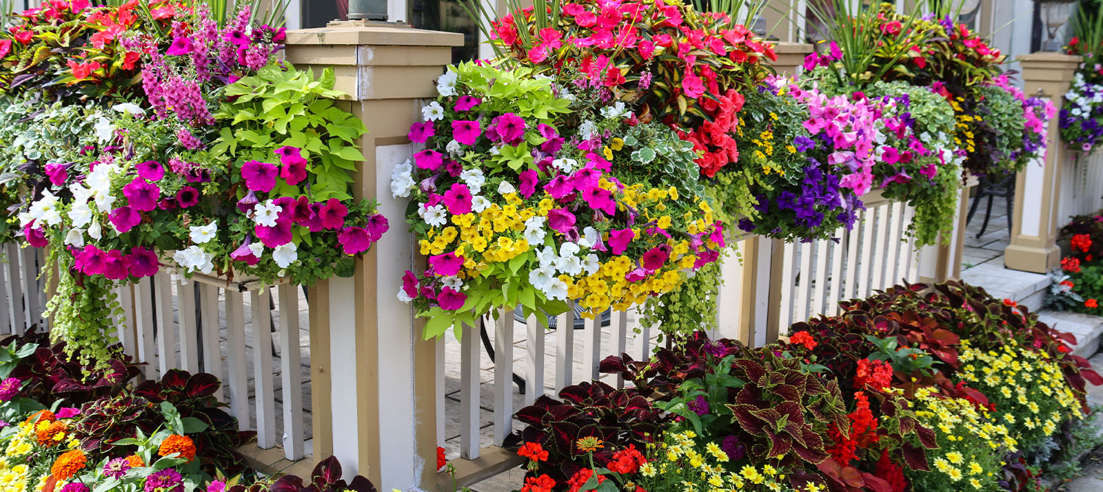 Niagara on the Lake, Ontario - &copy;Philip Marr